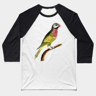 Lovely Colorful Bird Baseball T-Shirt